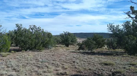 tbd Concho 3, Concho, AZ 85924 photo 24