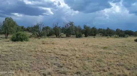 tbd Concho 3, Concho, AZ 85924 photo 3