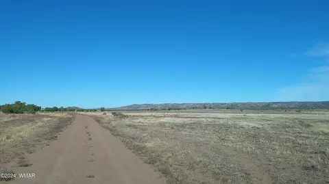 tbd Concho 3, Concho, AZ 85924 photo 31