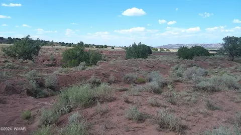tbd Concho 3, Concho, AZ 85924 photo 6