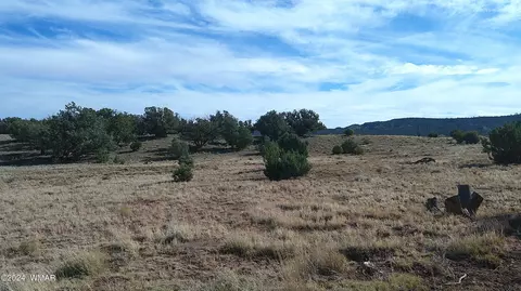 tbd Concho 3, Concho, AZ 85924 photo 21