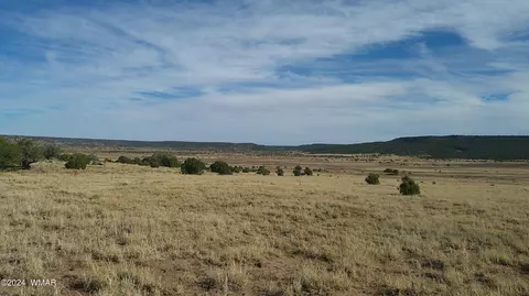 tbd Concho 3, Concho, AZ 85924 photo 29