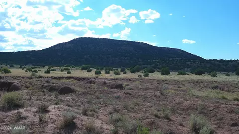 tbd Concho 3, Concho, AZ 85924 photo 5
