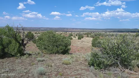 tbd Concho 3, Concho, AZ 85924 photo 11