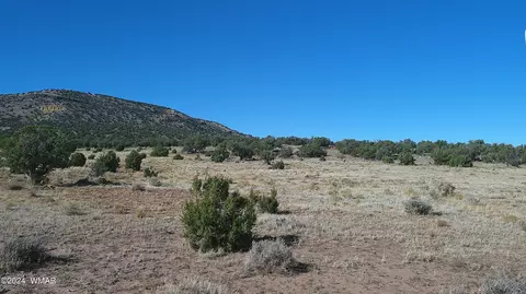 tbd Concho 3, Concho, AZ 85924 photo 20