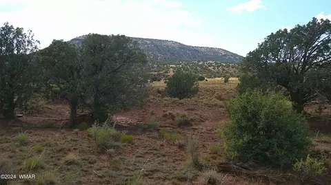 tbd Concho 3, Concho, AZ 85924 photo 13