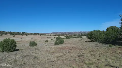 tbd Concho 3, Concho, AZ 85924 photo 27