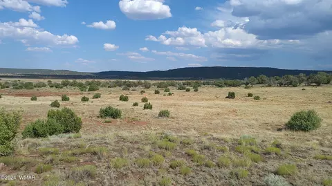 tbd Concho 3, Concho, AZ 85924 photo 10