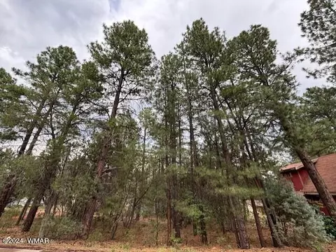 4317 Antelope Ln, Show Low, AZ 85901