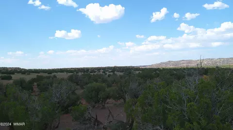 tbd Concho 5, Concho, AZ 85924 photo 18
