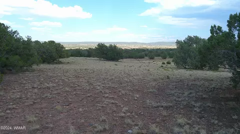 tbd Concho 5, Concho, AZ 85924 photo 16