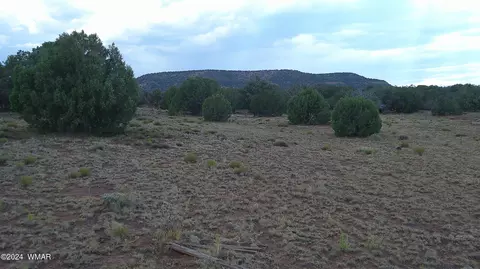 tbd Concho 5, Concho, AZ 85924 photo 5