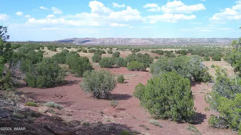 tbd Concho 5, Concho, AZ 85924
