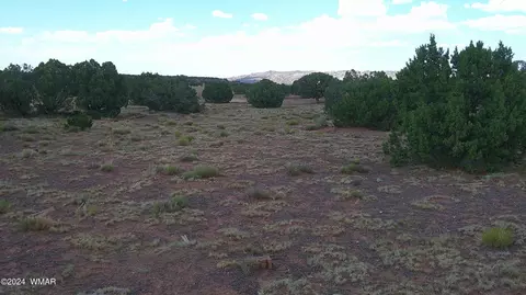 tbd Concho 5, Concho, AZ 85924 photo 8