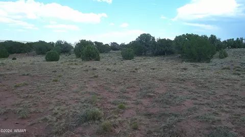 tbd Concho 5, Concho, AZ 85924 photo 11