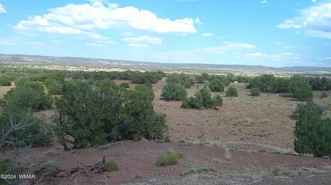 tbd Concho 5, Concho, AZ 85924 photo 14