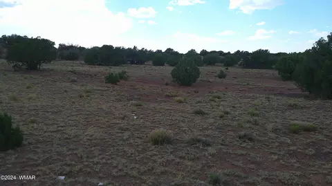 tbd Concho 5, Concho, AZ 85924 photo 7