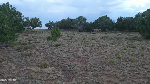 tbd Concho 5, Concho, AZ 85924 photo 6