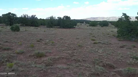 tbd Concho 5, Concho, AZ 85924 photo 10