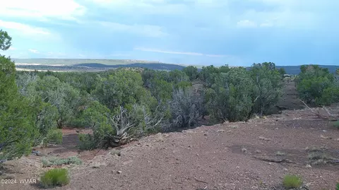 tbd Concho 5, Concho, AZ 85924 photo 12