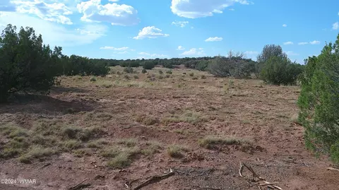 tbd Concho 4, Concho, AZ 85924 photo 2