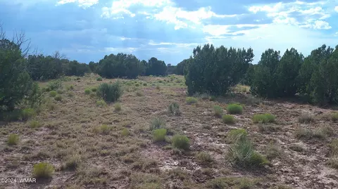 tbd Concho 4, Concho, AZ 85924 photo 5