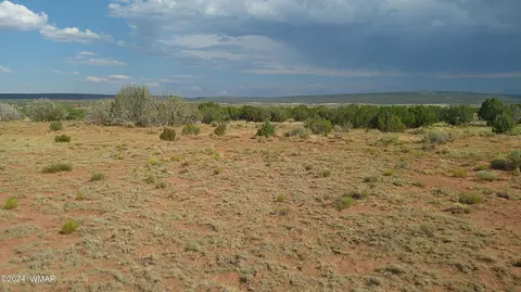 tbd Concho 4, Concho, AZ 85924 photo 7
