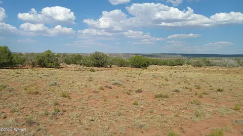 tbd Concho 4, Concho, AZ 85924 photo 6