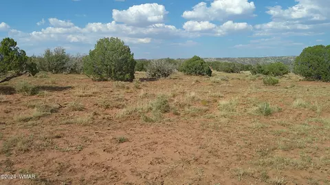 tbd Concho 4, Concho, AZ 85924 photo 3