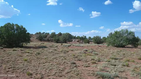 tbd Concho 4, Concho, AZ 85924