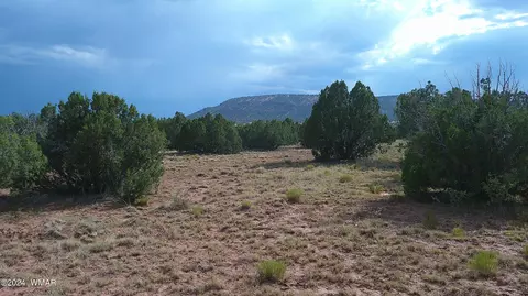 tbd Concho 4, Concho, AZ 85924 photo 4