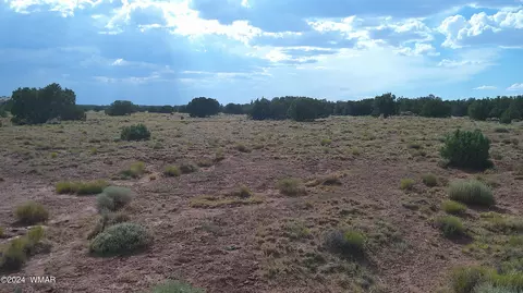 tbd Concho 4, Concho, AZ 85924 photo 9
