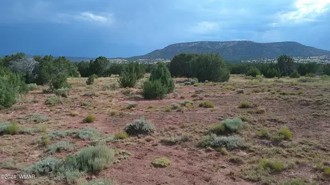 tbd Concho 4, Concho, AZ 85924 photo 8