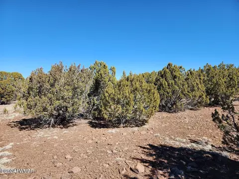 tbd Concho 2, Concho, AZ 85924 photo 3