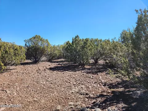tbd Concho 2, Concho, AZ 85924 photo 7
