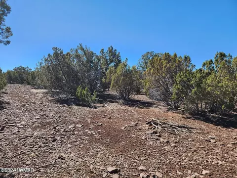 tbd Concho 2, Concho, AZ 85924 photo 6