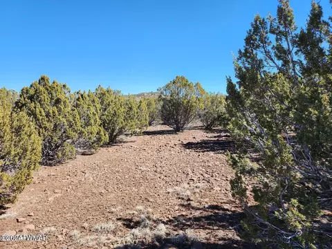 tbd Concho 2, Concho, AZ 85924 photo 4