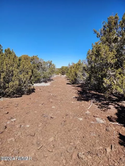 tbd Concho 2, Concho, AZ 85924 photo 5