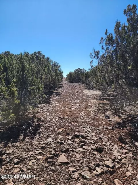 tbd Concho 2, Concho, AZ 85924 photo 8