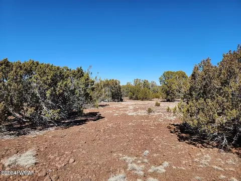 tbd Concho 2, Concho, AZ 85924