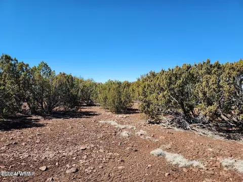 tbd Concho 2, Concho, AZ 85924 photo 2