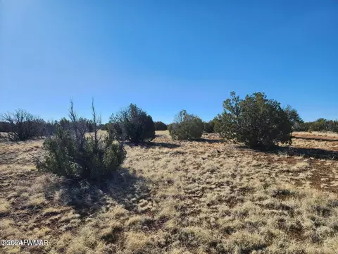 tbd Concho 1, Concho, AZ 85924 photo 6