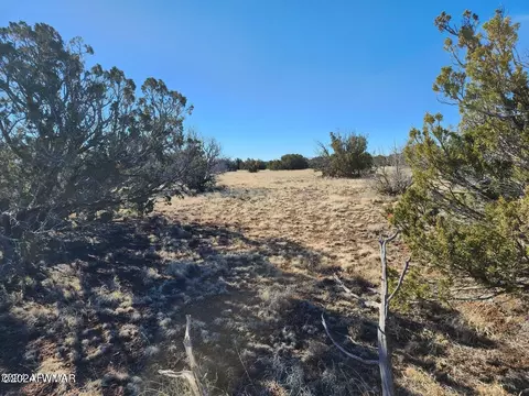 tbd Concho 1, Concho, AZ 85924