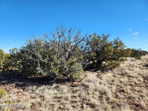 tbd Concho 1, Concho, AZ 85924 photo 7
