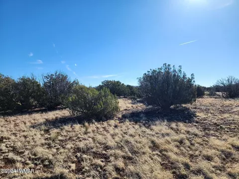tbd Concho 1, Concho, AZ 85924 photo 4