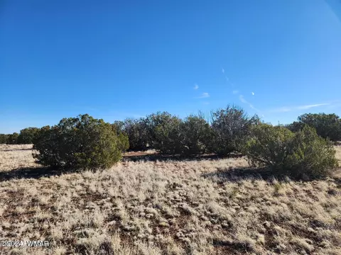 tbd Concho 1, Concho, AZ 85924 photo 3