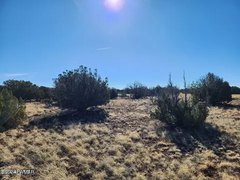 tbd Concho 1, Concho, AZ 85924 photo 5