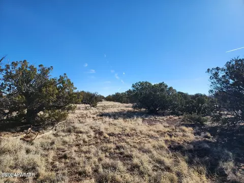 tbd Concho 1, Concho, AZ 85924 photo 2
