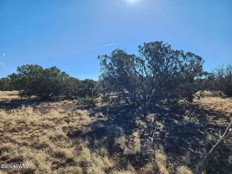 tbd Concho 1, Concho, AZ 85924 photo 8