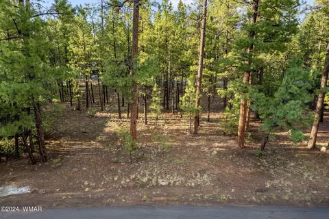 6938 Palomino Dr, Pinetop, AZ 85935
